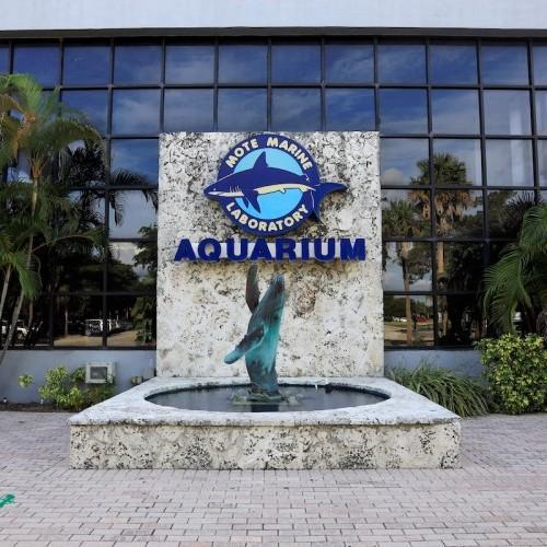 Mote Marine Laboratory & Aquarium
