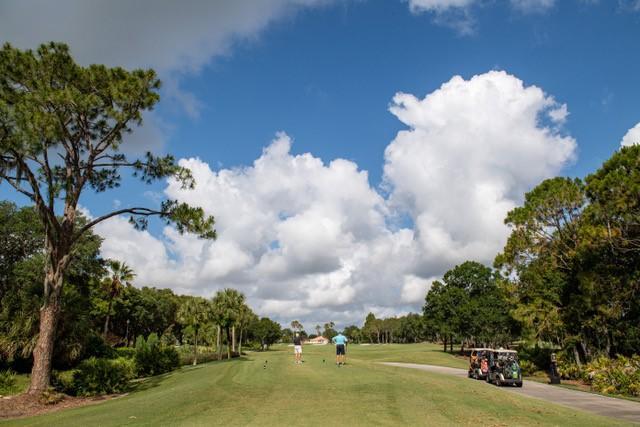 Golf in Sarasota