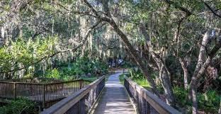 Oscar Scherer State Park